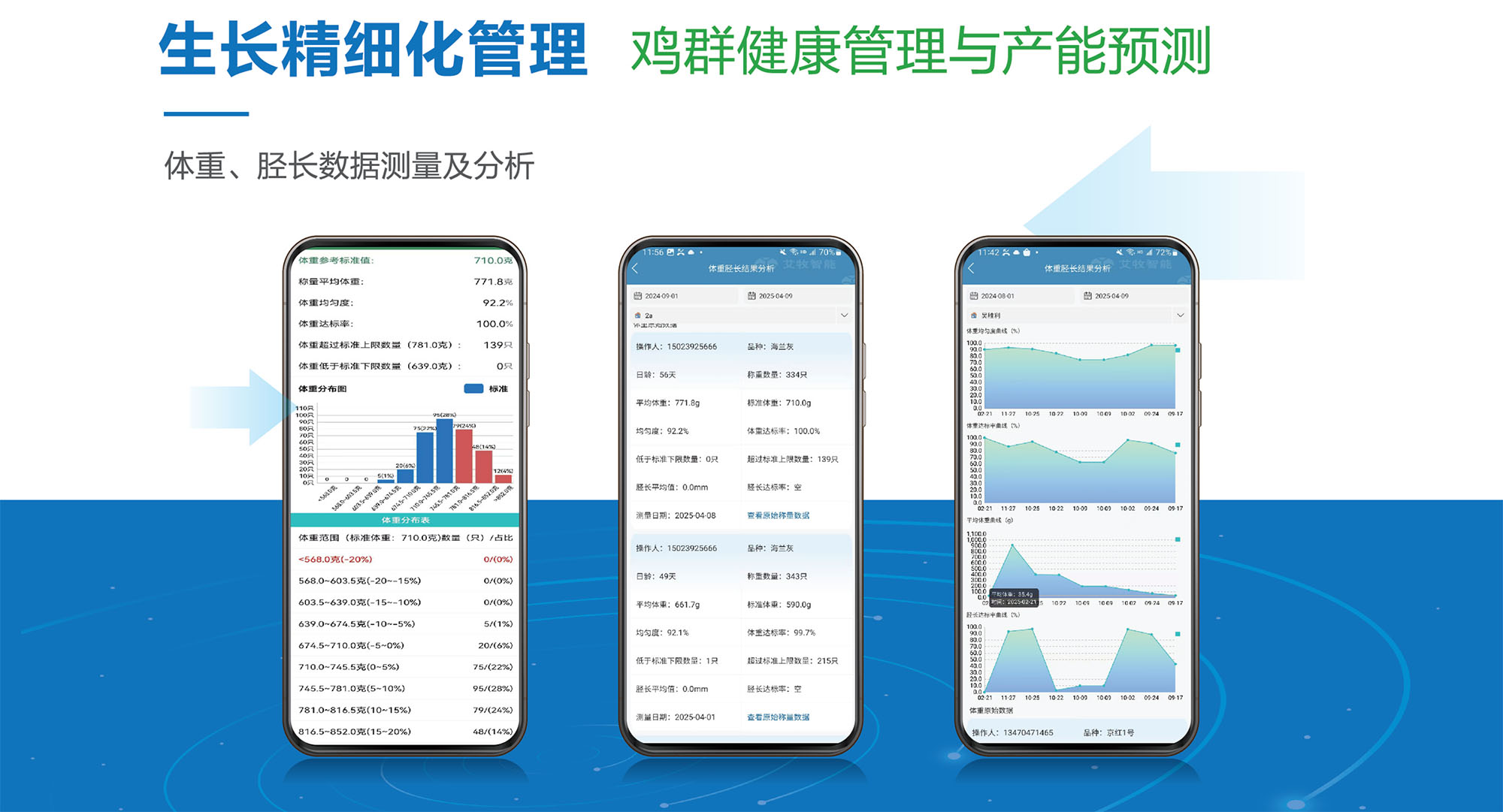 数据决策报告